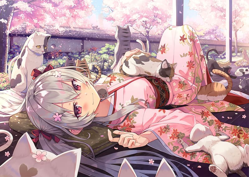 Anime, Cat, Girl, Kimono, Red Eyes, White Hair, Lying Down, Japanese Clothes, HD wallpaper