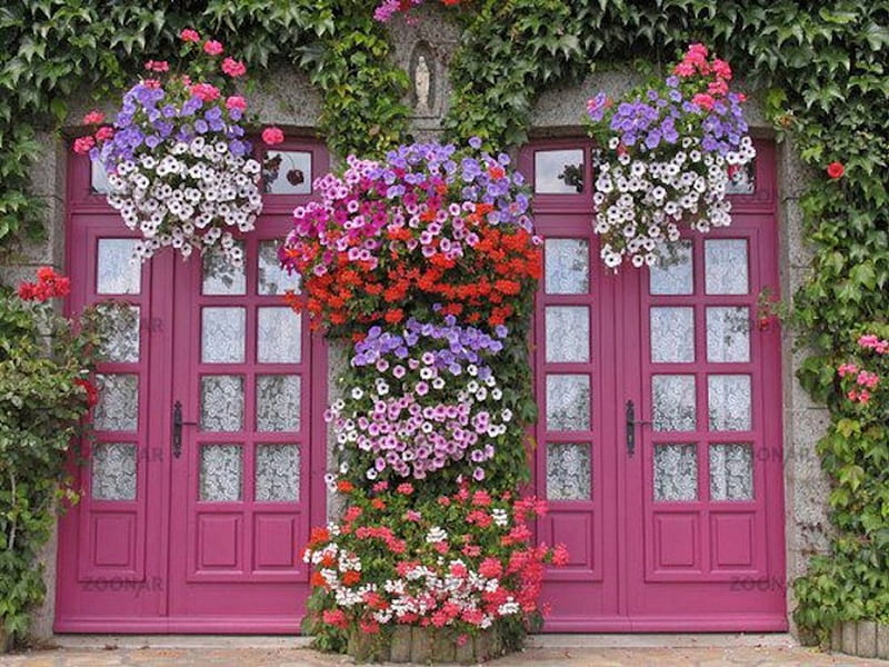 Lovely Pink Doors, double doors, flowers, pink, entryway, HD wallpaper