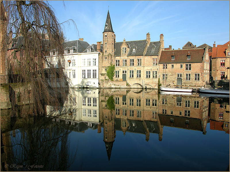 Beautiful Brugge, Belgium, tree, water, houses, sunshine, reflection, sky, old, blue, HD wallpaper