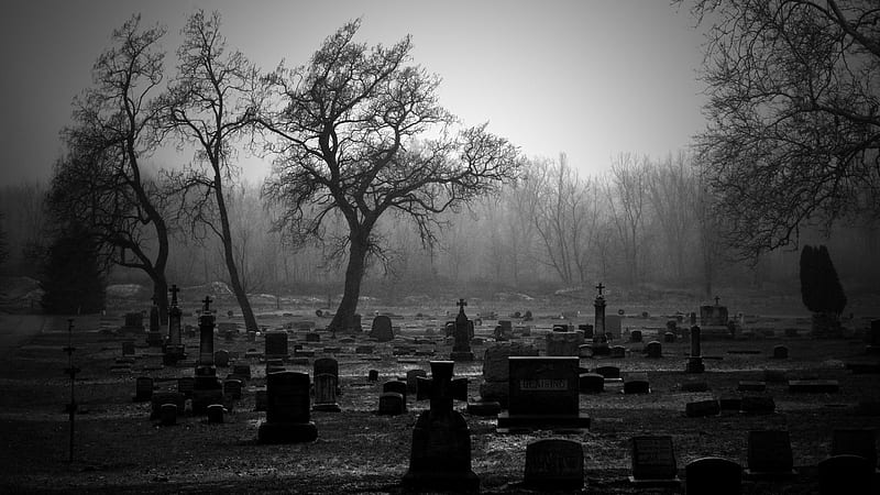 Dark Cemetery, black and white, graves, gothic, dark, cemetery, HD wallpaper