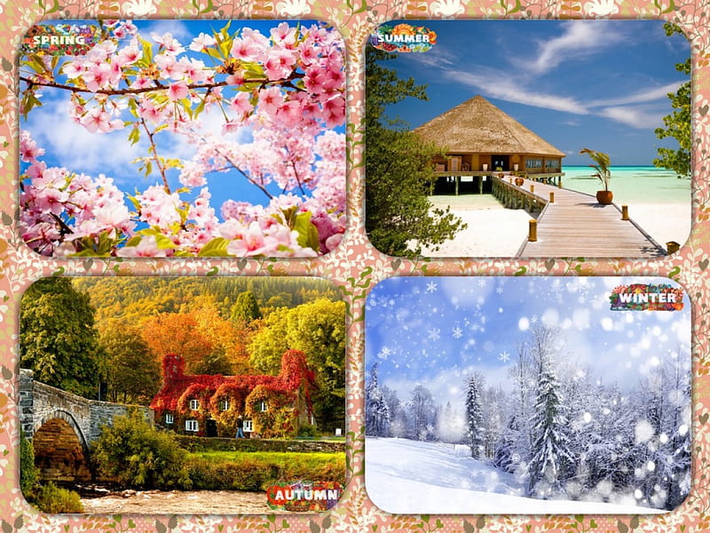 Seasonal Scenes, autumn, sun, spring, seasons, winter, snow, summer, scenes, scenery, HD wallpaper