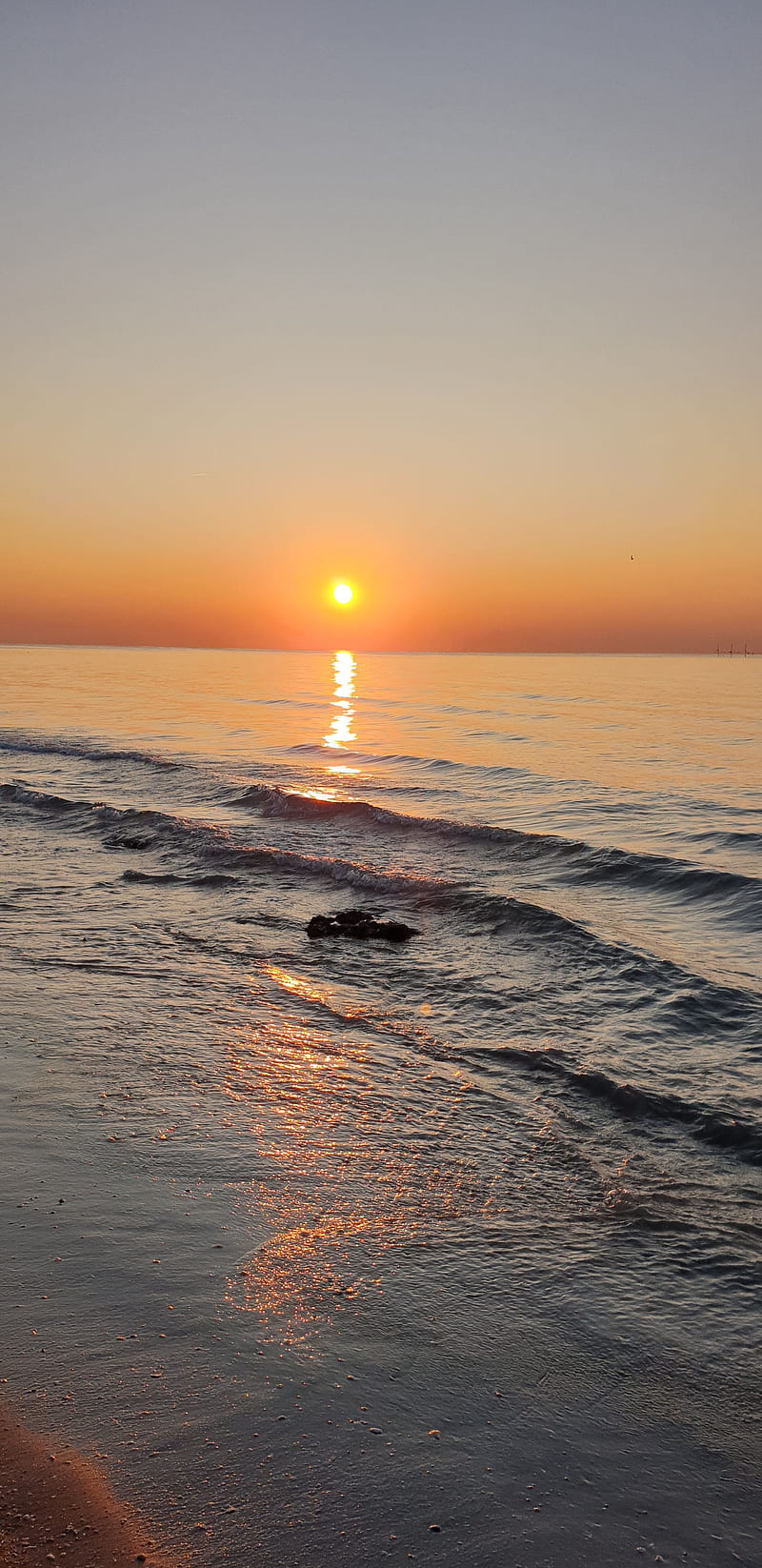 beach sunrise, desenho, golden, landscape, surf, HD phone wallpaper