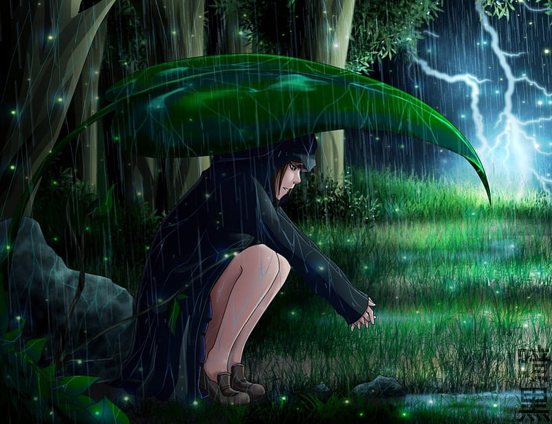 Raining in the Forest, wet grass, plant, woods, green, anime, raining, hot, anime girl, forest, female, lighting, leave, storm, sexy, weather, rainy, leaf, cute, tree, water, girl, thundre, rain, field, HD wallpaper