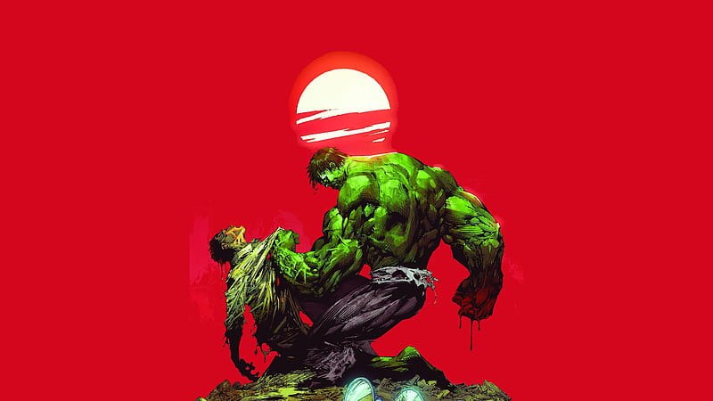 Bruce Banner Vs The Hulk , hulk, superheroes, HD wallpaper