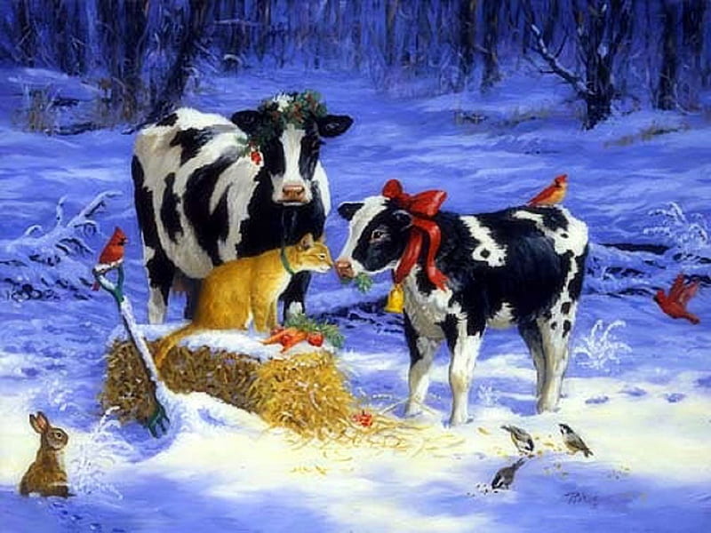 ..Cow Calf Cat in Snow.., pretty, Christmas, draw and paint, holidays, bows, xmas and new year, cardinals, paintings, hare, animals, cows, cow calf, lovely, colors, love four seasons, birds, creative pre-made, winter, cute, snow, cats, HD wallpaper