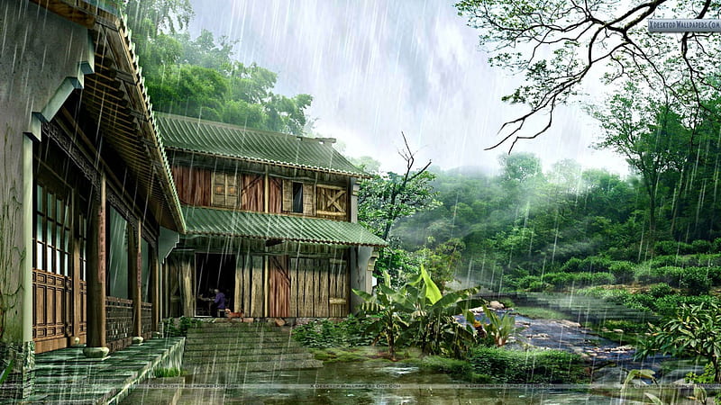 Nature House - I, architecture, rain, nature house, houses, HD wallpaper |  Peakpx