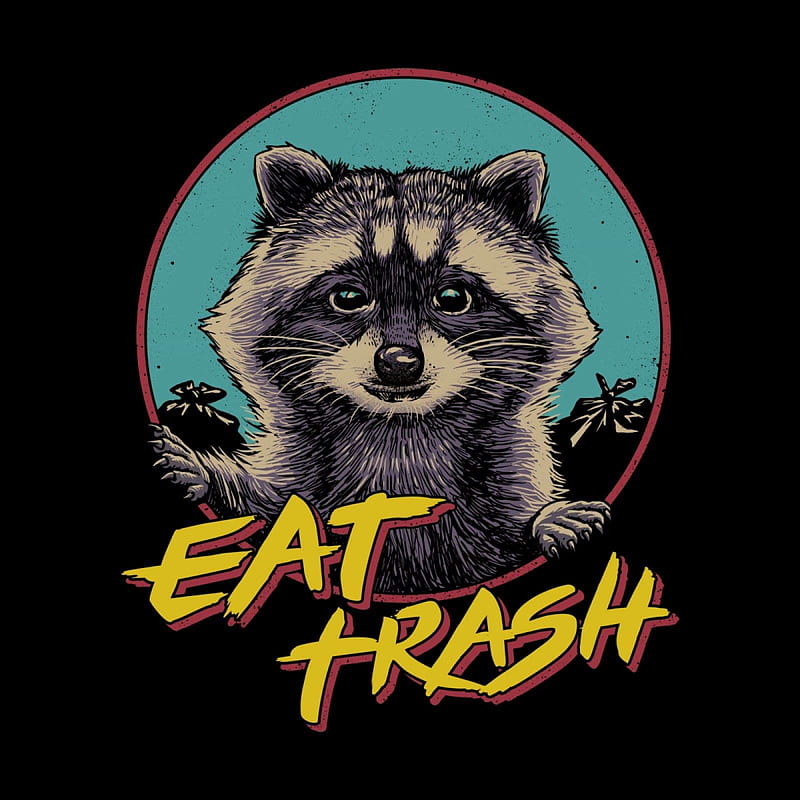 Trash Panda, animals, cute, raccoons, trash pandas, HD phone wallpaper