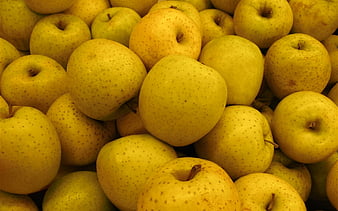 yellow apple wallpaper