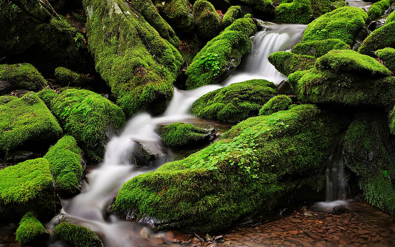 Waterfalls, Waterfall, Moss, HD wallpaper