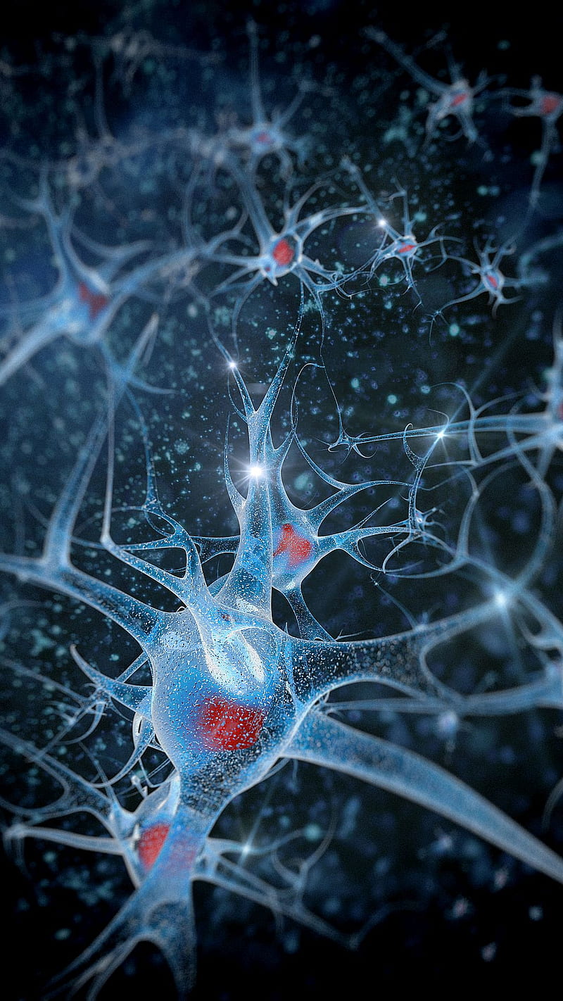 Neuronas, abstracto, células, Fondo de pantalla de teléfono HD | Peakpx