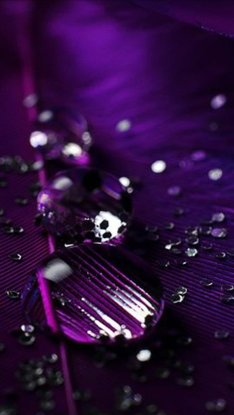 Purple rain, drop, drops, prple, HD phone wallpaper