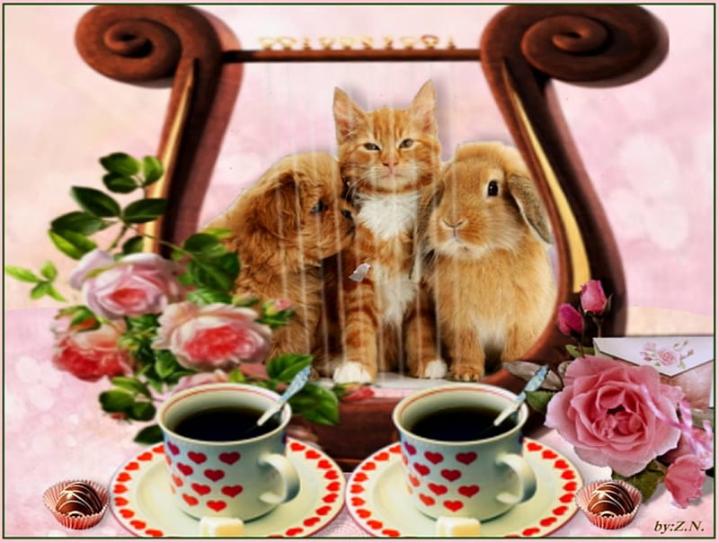 good morning with cats, morning, coffee, flouers, cats, HD wallpaper