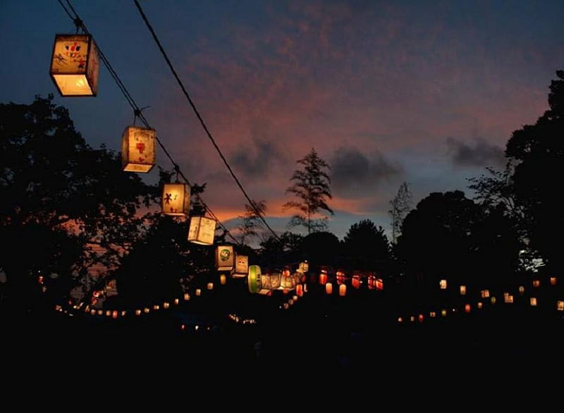 Matsuri, festival, japan, lantern, japanese, night, HD wallpaper