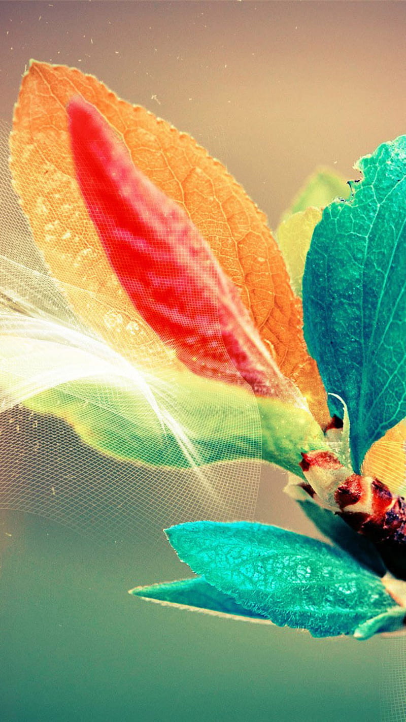 Its Awesome, abstract, art, digital, leaves, nature, rainbow, HD phone wallpaper