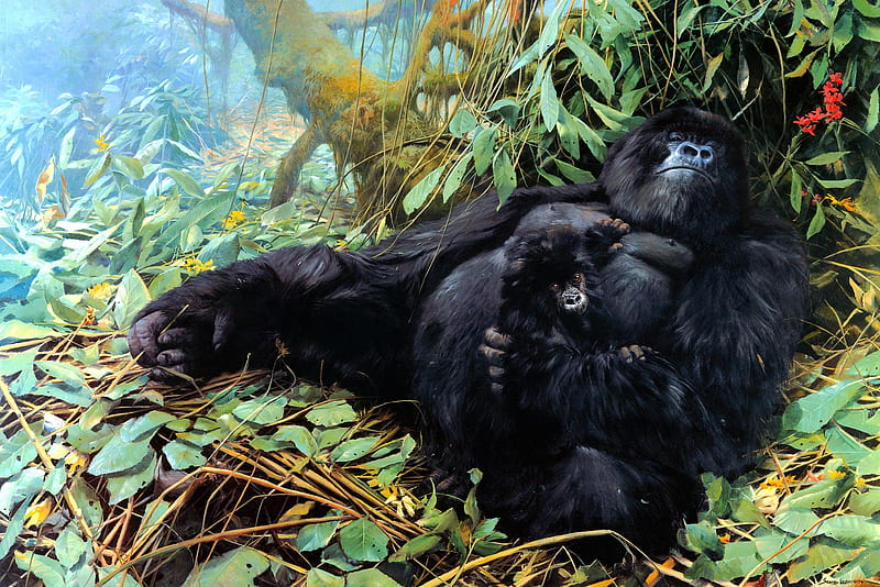 Gorillas, monkey, art, sleep, black, john seerey lester, gorilla, baby, pictura, HD wallpaper
