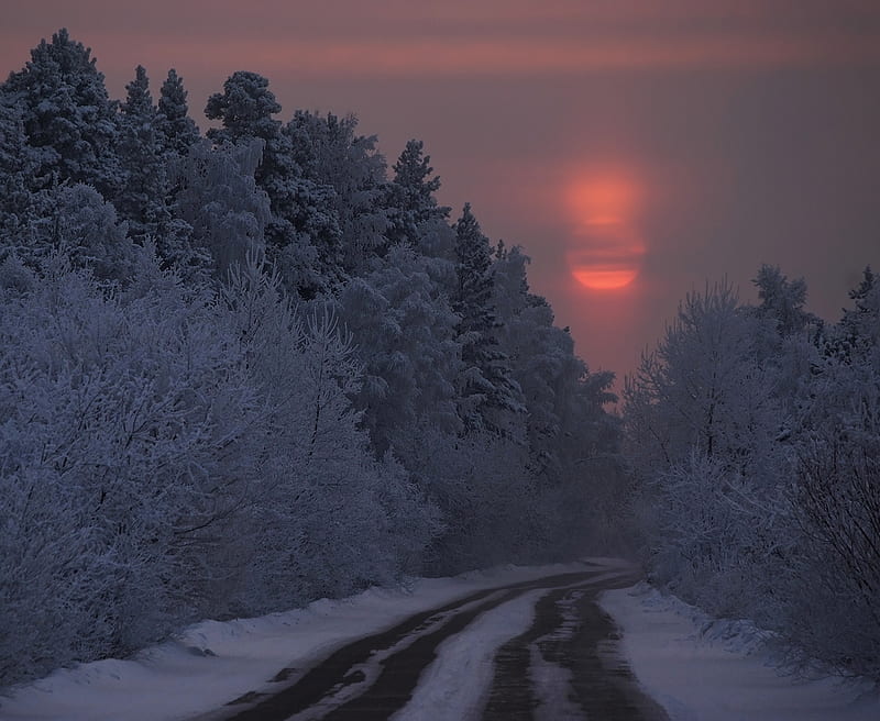 Red Winter Sunset, red, snow, sunset, road, trees, sky, winter, HD wallpaper