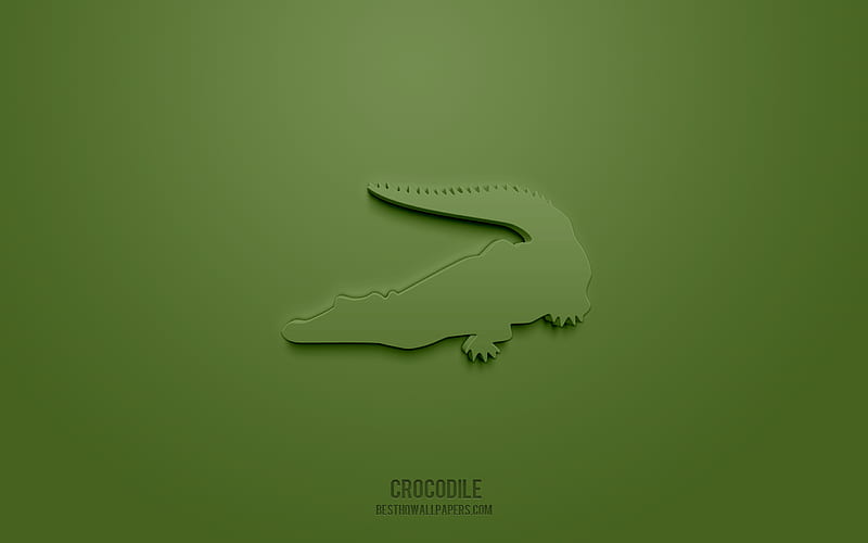 Crocodile 3d icon, green background, 3d symbols, Crocodile, creative 3d art, 3d icons, Crocodile sign, Animals 3d icons, HD wallpaper