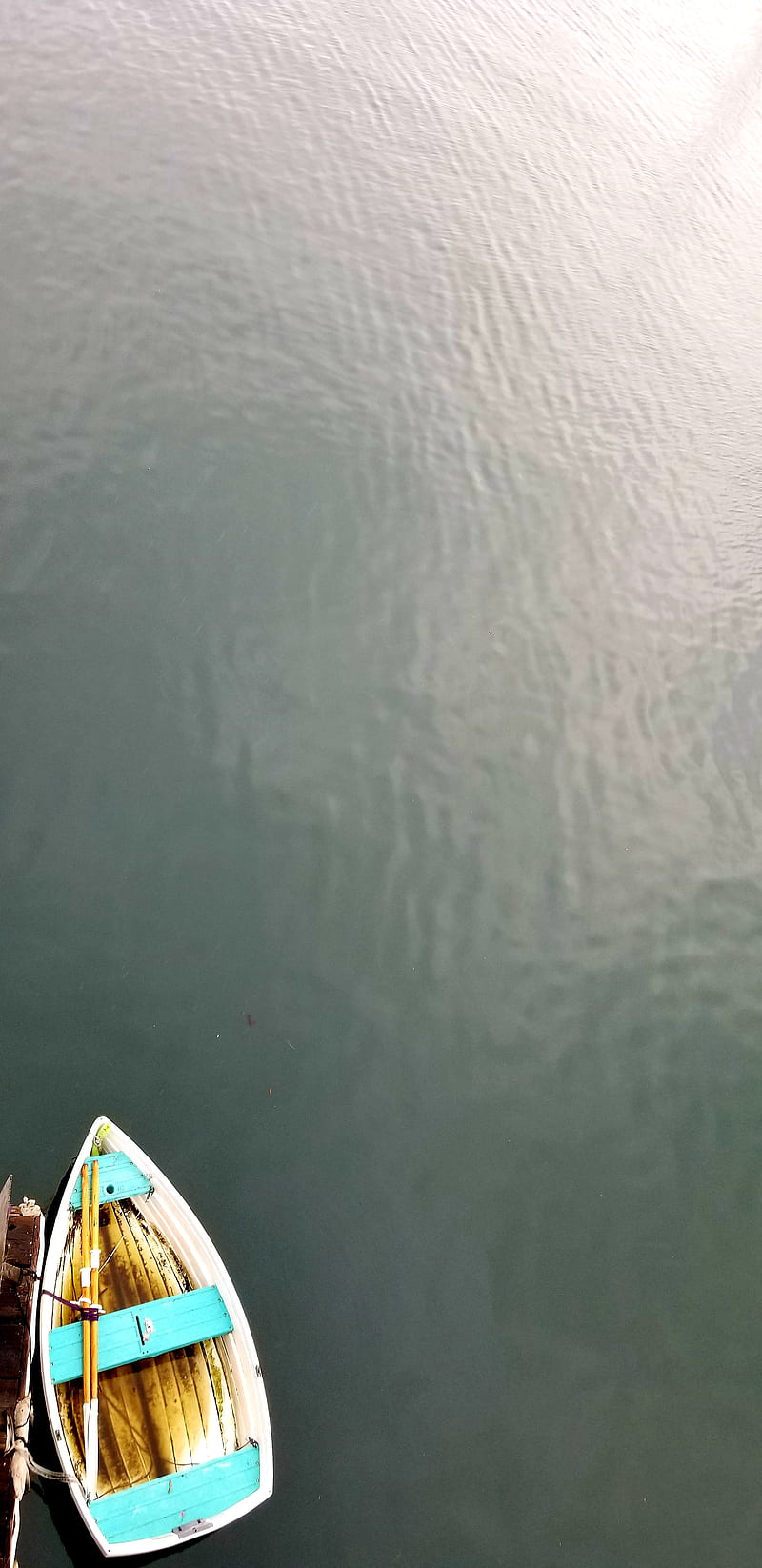 Boat in Monterey, newyear19, water, ocean, paddle, rain, beardeddiner, bay, peace, HD phone wallpaper