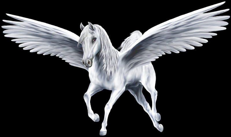 Pegasus, fantasy, wings, luminos, feather, black, white, horse, HD wallpaper