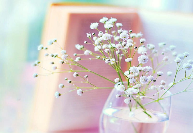 cute flowers, cute, glass, pretty, nice, lovely, plants, flowers, nature, HD wallpaper
