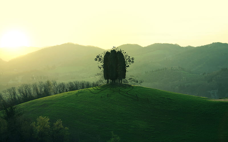 Grass, Tree, Earth, Hill, Artistic, HD wallpaper