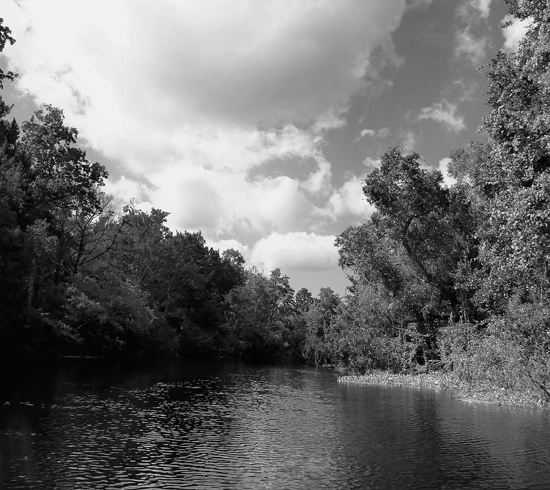 Serenity, black and white, canoeing, florida, nature, spring, water, HD wallpaper