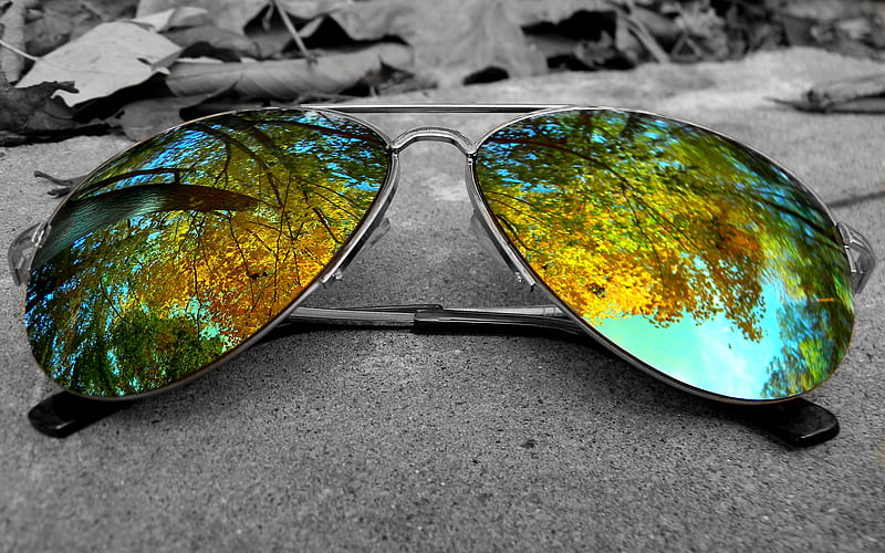 Autumn in sun glasses, sunglasses, autumn, leaves, season, trees, sky, HD wallpaper