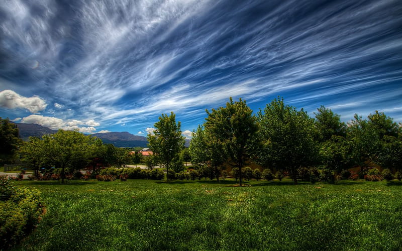 Power of Universe Painter, view, grass, wind, scencery, trees, sky, clouds, leaves, mounts, nature, forests, landscape, blue, HD wallpaper