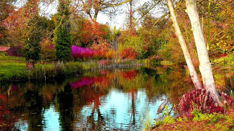 AUTUMN LAKE, garden, autumn, woodland, lake, HD wallpaper