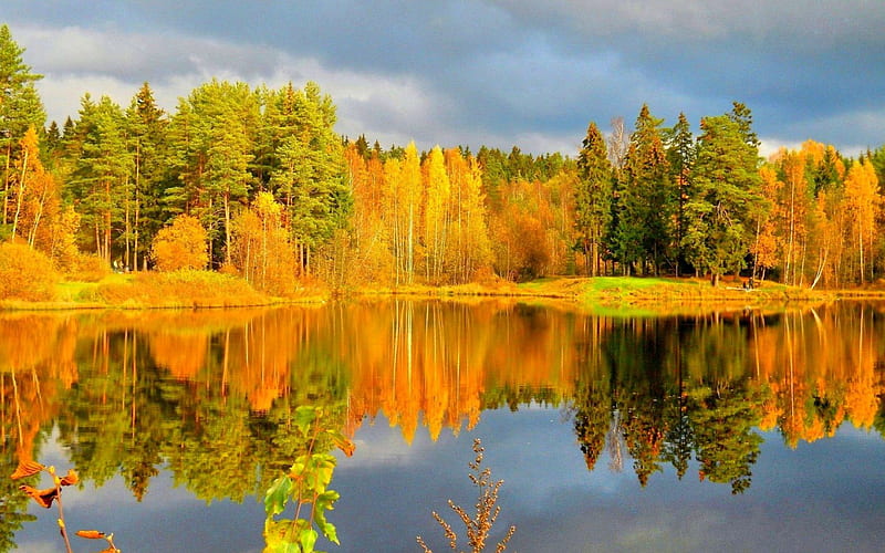 AUTUMN FOREST on the LAKE, colors of nature, autumn, sky, seasons ...