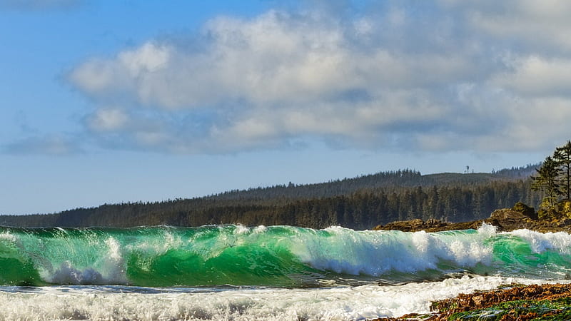 gorgeous pipeline ocean wave, beach, rocks, green, sae, wave, HD wallpaper