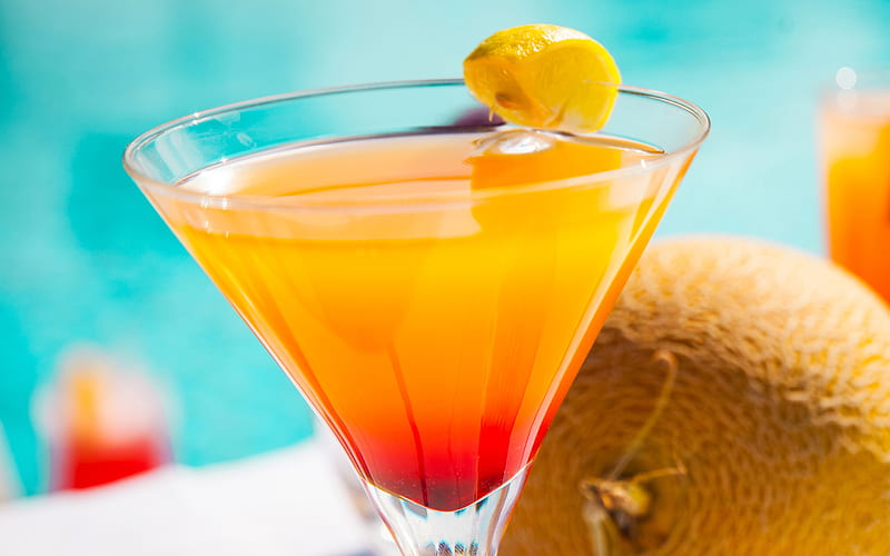 Martini with Rum, cocktail, orange cocktail, different cocktails, martini, HD wallpaper