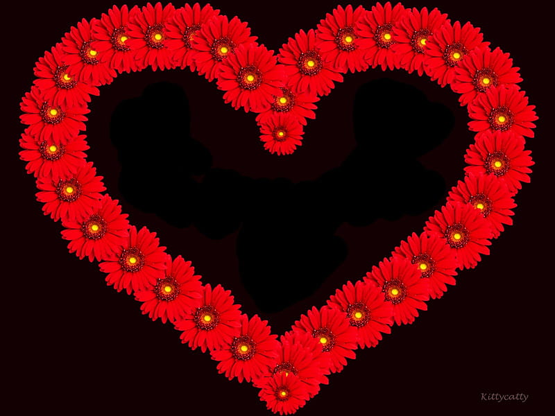 Red Daisy Heart , valentines day, red, black, sweetheart, love, heart, darling, flowers, daisy, mothers day, red daisies, HD wallpaper