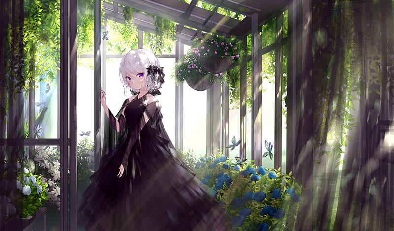 White Hair Blue Dress Flowers Princess Purple Eyes Anime Girl HD