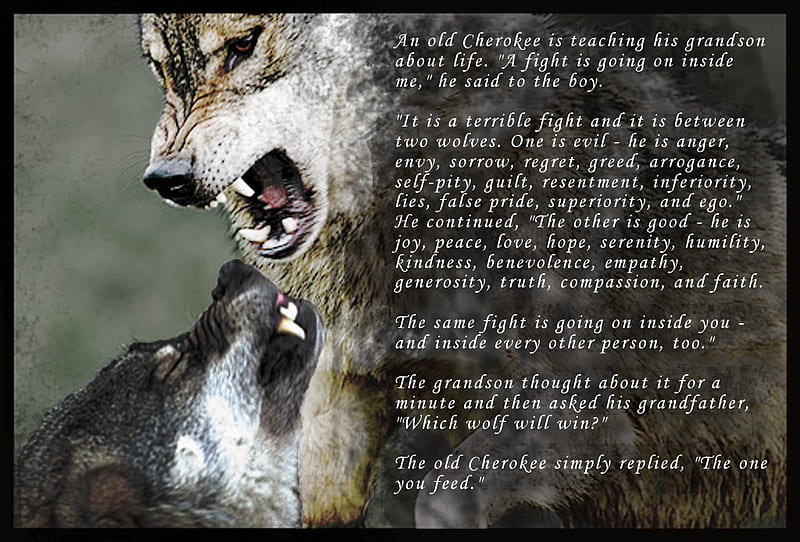 cherokee indian wolves parable, a parable, wolves, HD wallpaper