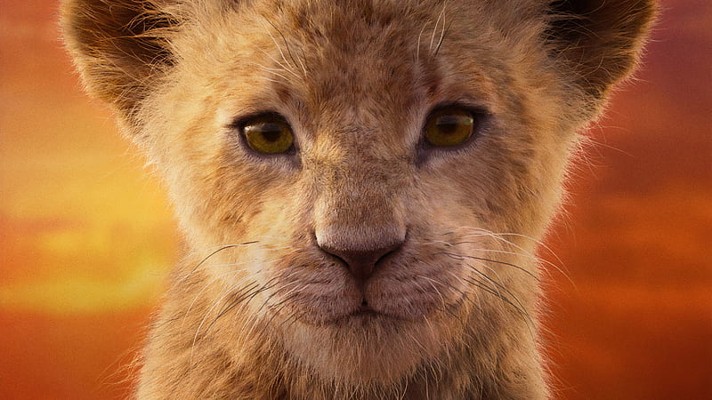 The Lion King 2019, fantasy, nala, movie, leu, cub, the lion king, lion, disney, HD wallpaper
