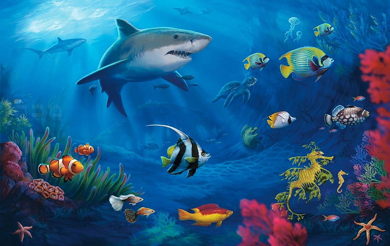 Underwater, nature, water, ocean, under, HD wallpaper