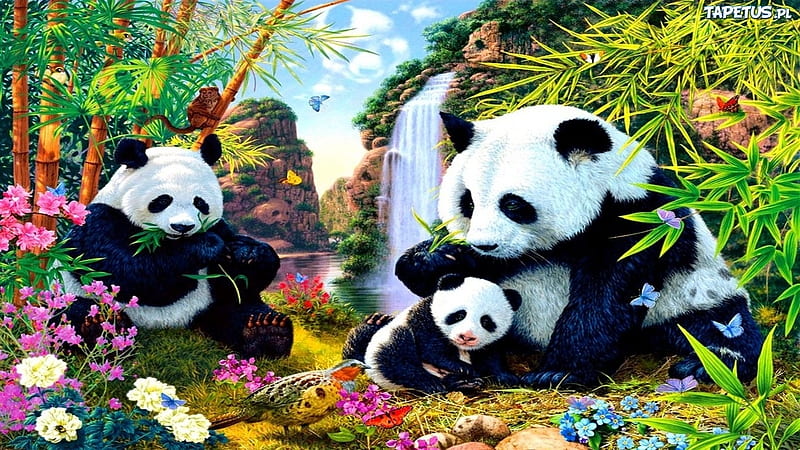 Panda Family, panda, family, black, bears, puzzle, white, HD wallpaper