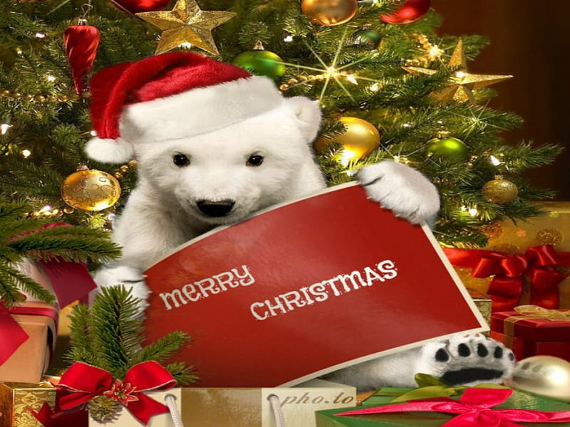 Merry Christmas, bear, fun, holiday, christmas, HD wallpaper | Peakpx