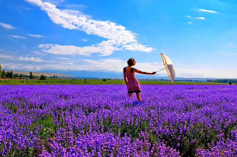 SPRING BREEZE, girl, umbrella, spring, lavender, field, HD wallpaper