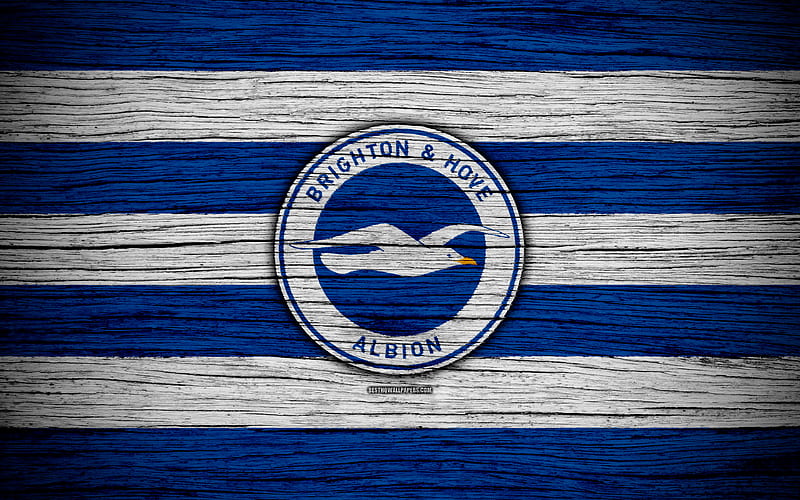 Brighton and Hove Albion Premier League, logo, England, wooden texture, FC Brighton and Hove Albion, soccer, football, Brighton and Hove Albion FC, HD wallpaper