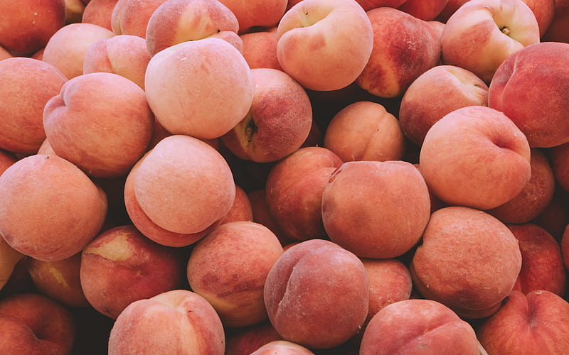 peaches, fruit, summer, peach texture, mountain of ripe peaches, HD wallpaper
