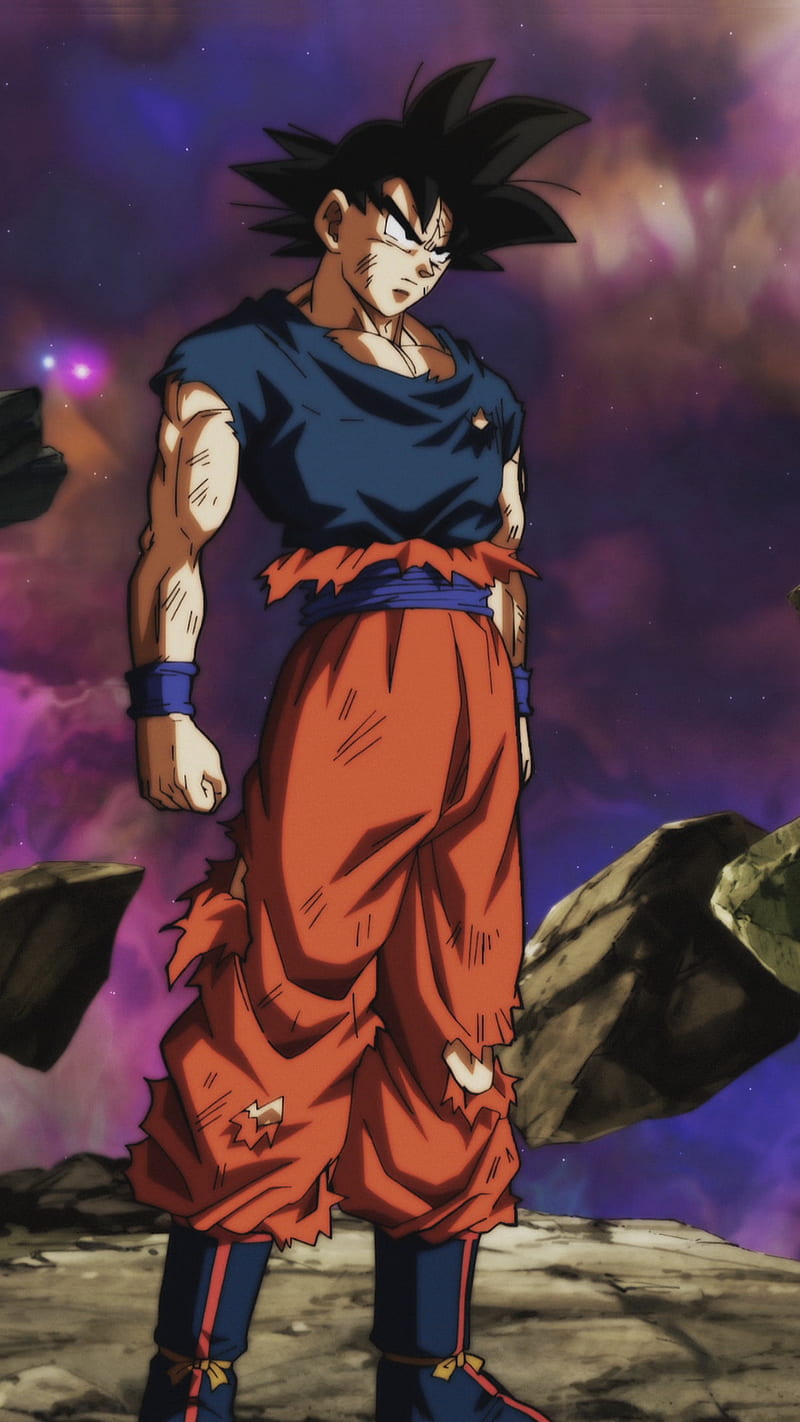 Goku Damged Clothes