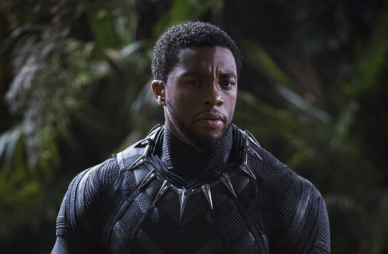 Chadwick Boseman Black Panther 2018, chadwick-boseman, black-panther, 2018-movies, movies, HD wallpaper
