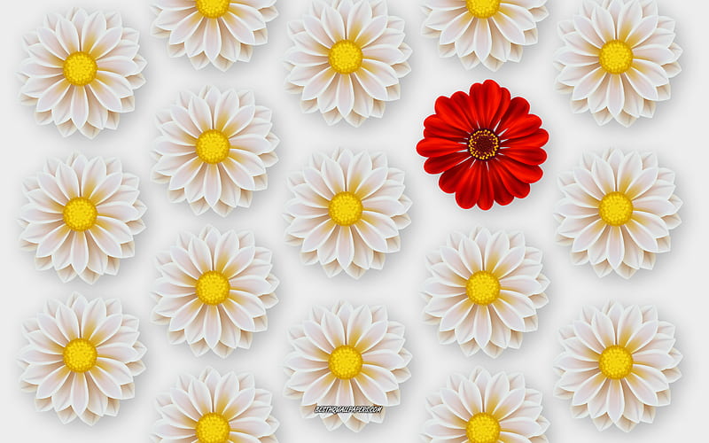 Be different, white flowers, red flower, flower, be different art, creative art, be different concepts, HD wallpaper