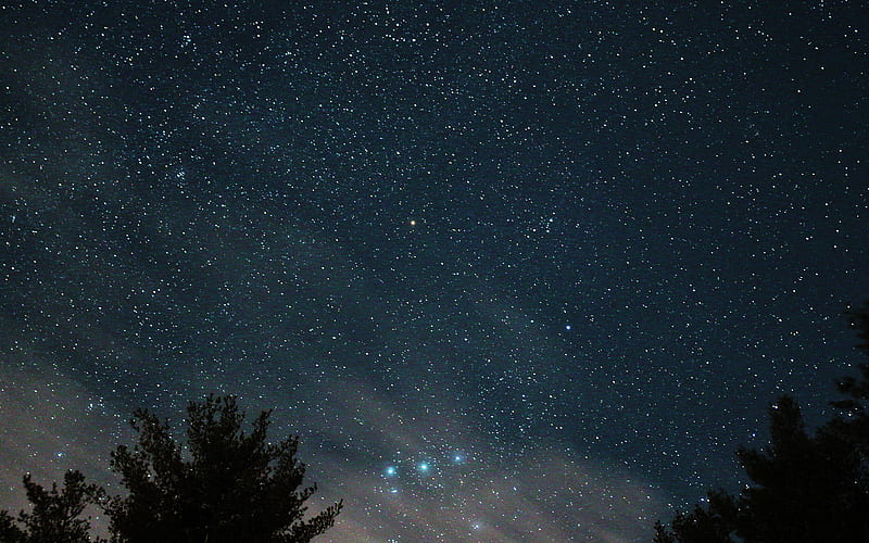 night, sky, star, wood, space, starry, blue, dark, HD wallpaper