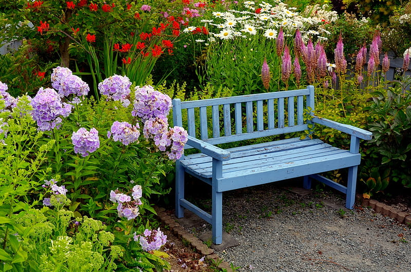 Garden rest, pretty, rest, lovely, bench, bonito, spring, park, freshness, summer, flowers, garden, HD wallpaper