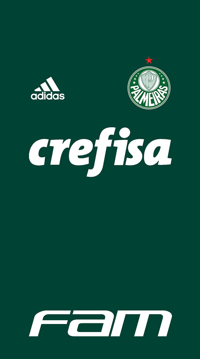 Palmeiras 2018, adidas, brazil, brasileirao, football, verdao, HD phone wallpaper