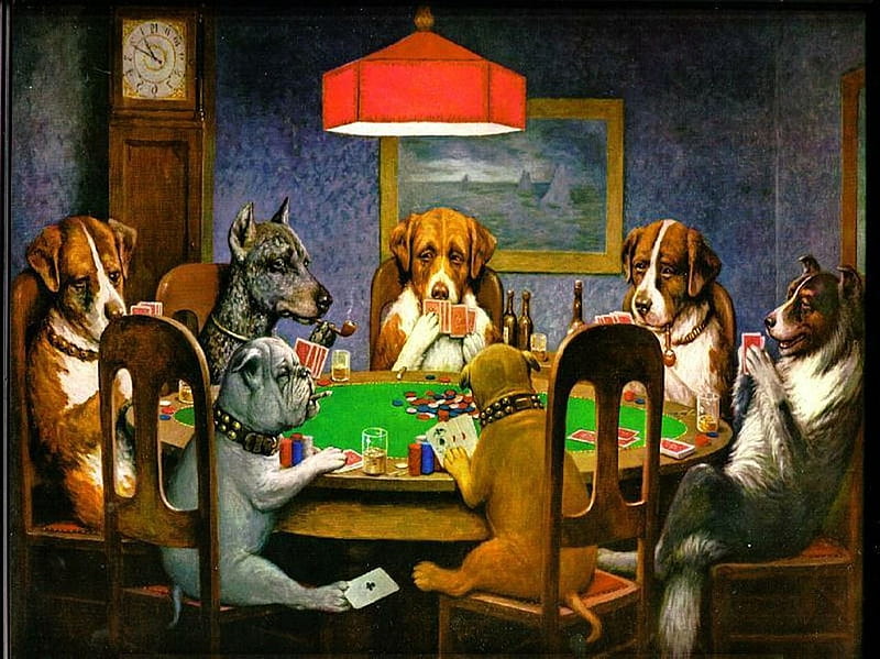 Perros jugando al mesa, perros, Fondo pantalla HD | Peakpx