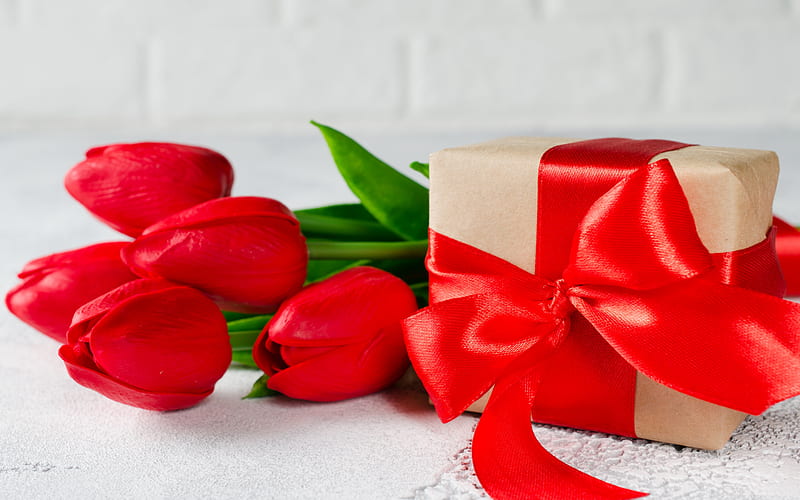 red tulips, gift, red silk bow, silk ribbon, March 8, spring, tulips, spring flowers, HD wallpaper